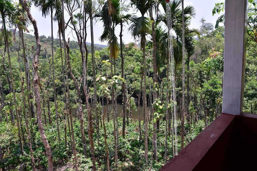 River Near Coorg Jambur Ngoại thất bức ảnh