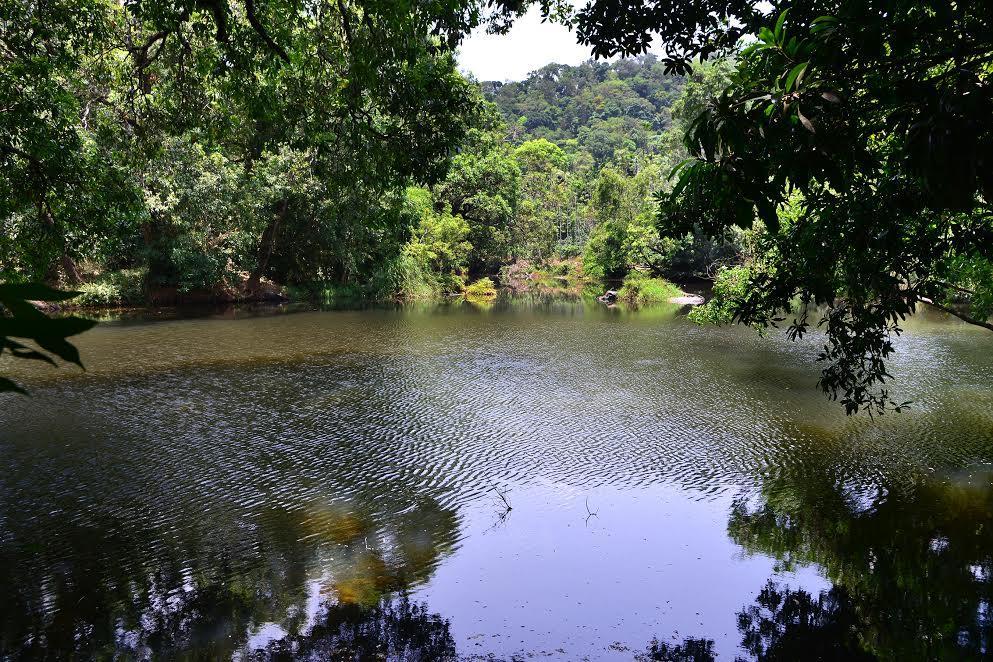 River Near Coorg Jambur Ngoại thất bức ảnh